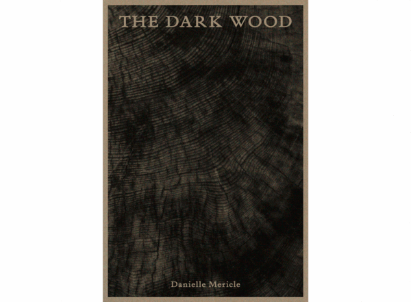 THE-DARK-WOOD_spreads_ANM